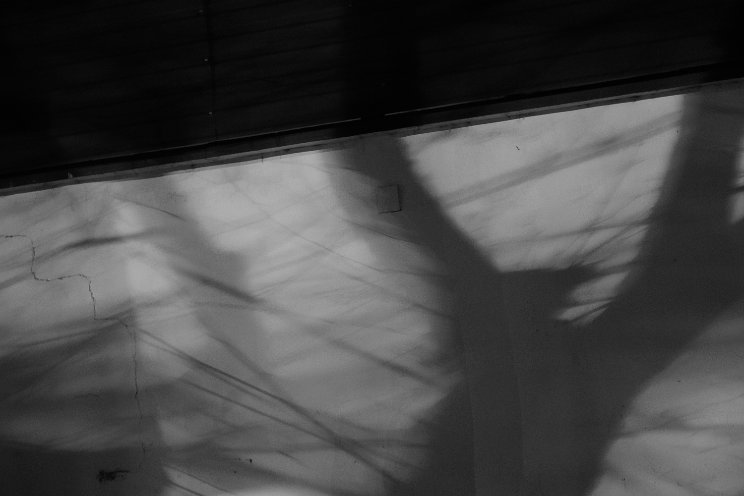 上海 2020 image 99